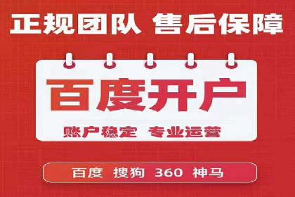 竞价推广策略：某电商平台的成功案例